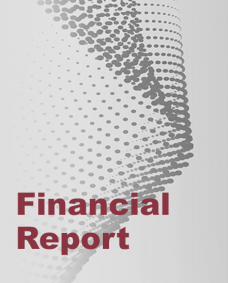 Financial Report 2010